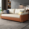 🔥 [FREE SHIPPING] Leath-aire Sleeper Sofa with Trundle